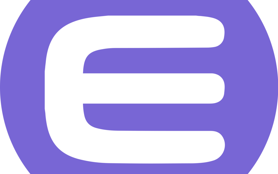 Enjin Coin ENJ Logo | The Giving Block